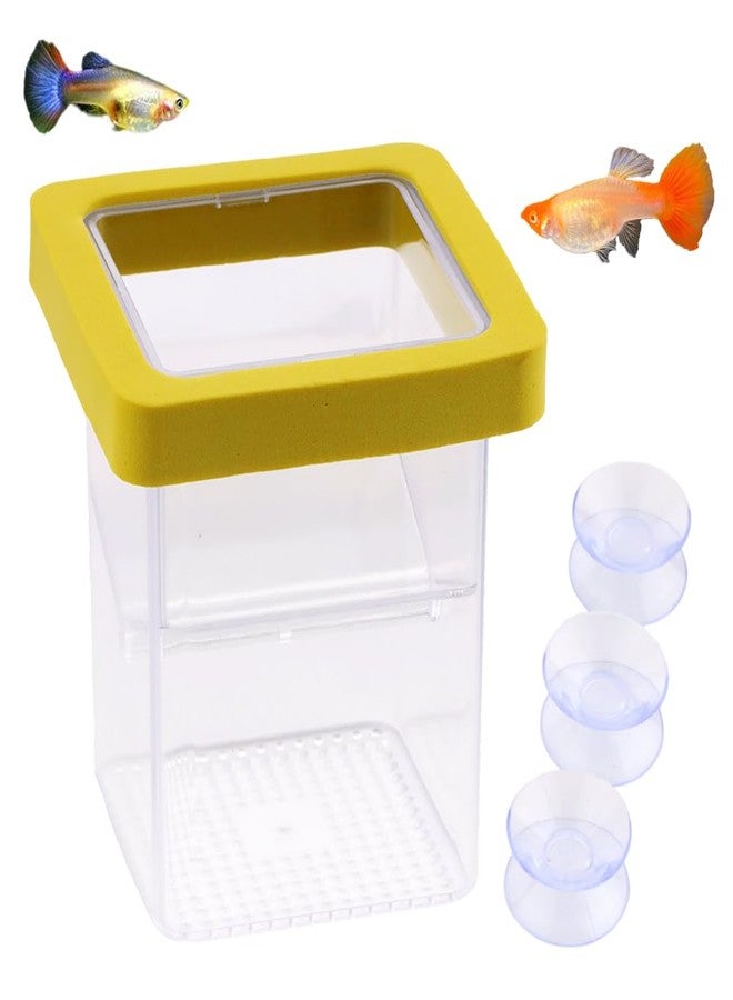 DQITJ 1 Pack Floating Fish Breeding Isolation Box Acrylic Floating Hatching Box for Baby Fish Shrimp Clownfish Betta Eggs Aquarium Tank - Image 1